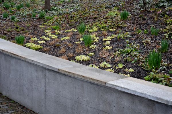 Cost of Concrete Wall Construction in Naples