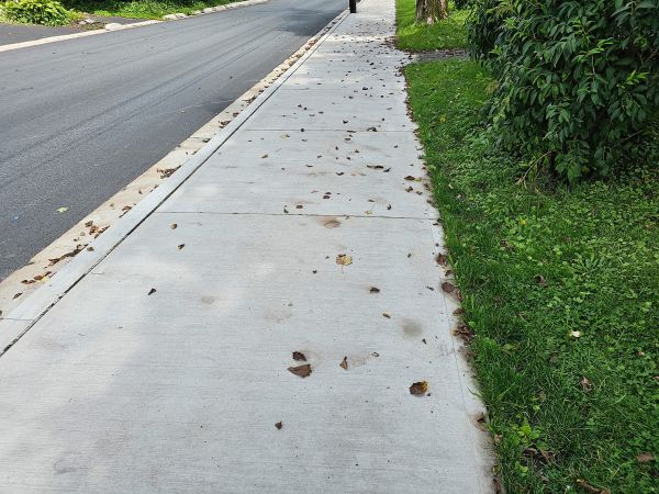 Cost of Sidewalk Renovation in Naples