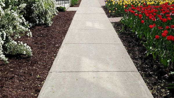 Cost of Cement Sidewalk Installation in Naples