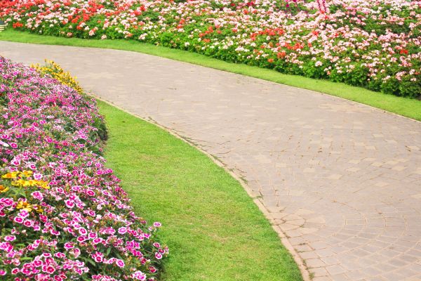 Cost of Concrete Walkway Service in Naples